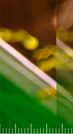 frame01