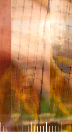 frame08
