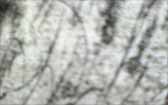 128