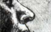 224