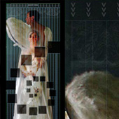 bride, wife, anima